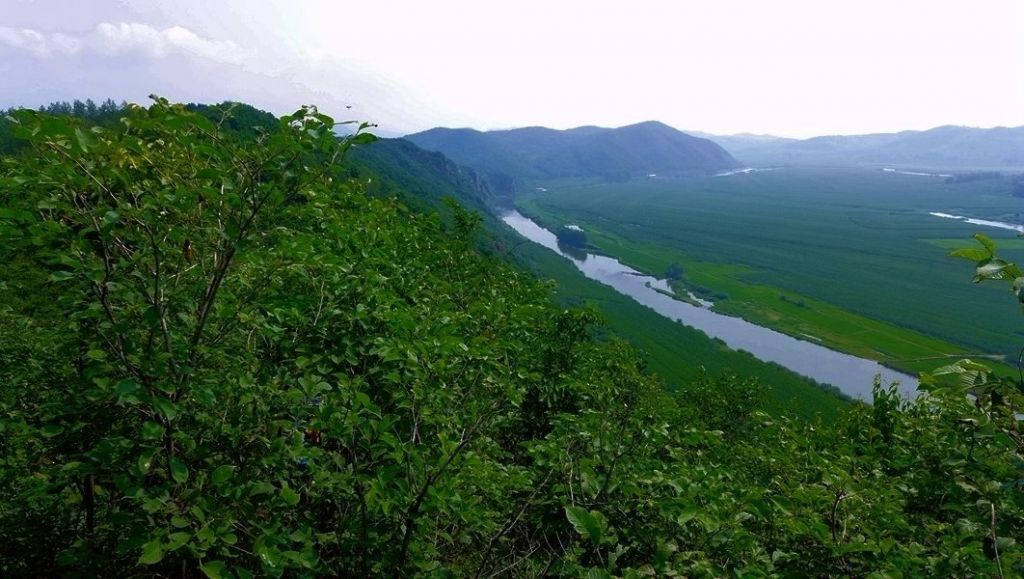 P1000925.JPG