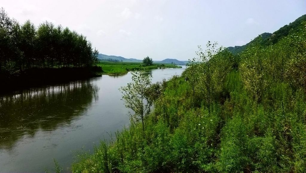 P1000966.JPG