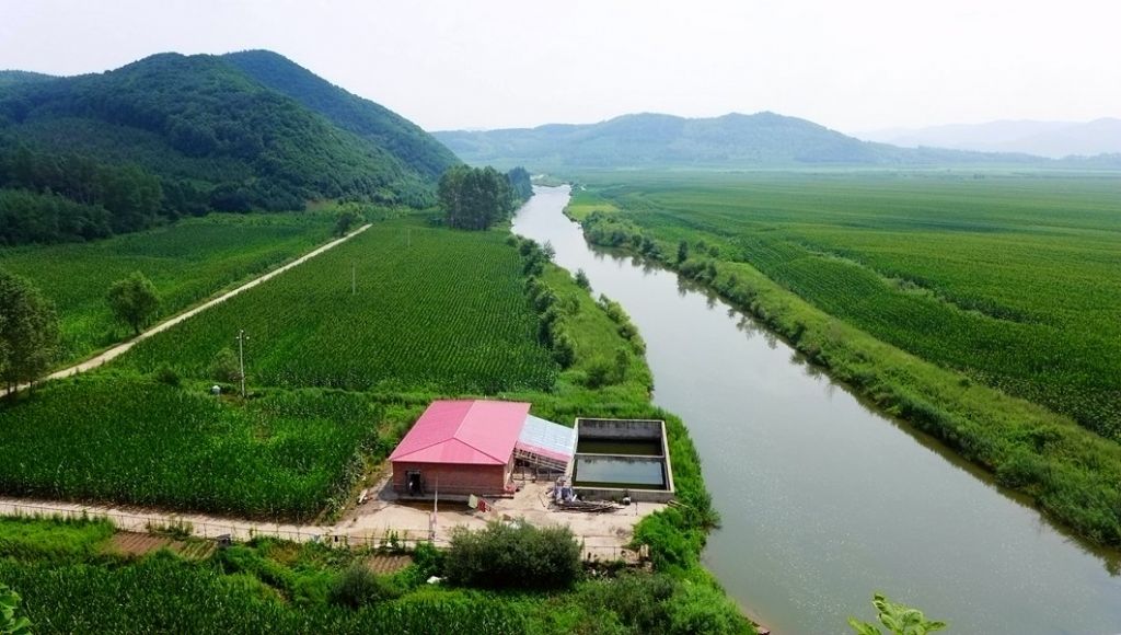 P1000980.JPG
