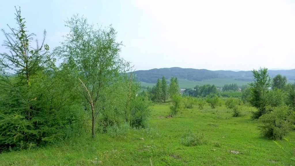 P1010021.JPG