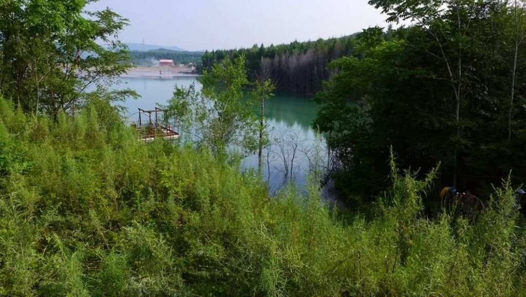 P1010066.JPG