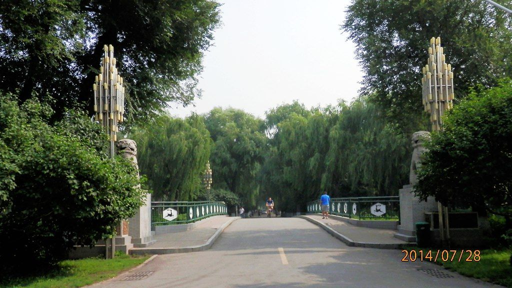 P7280447.jpg