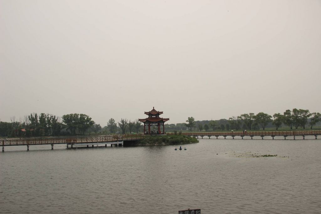 IMG_3187.jpg