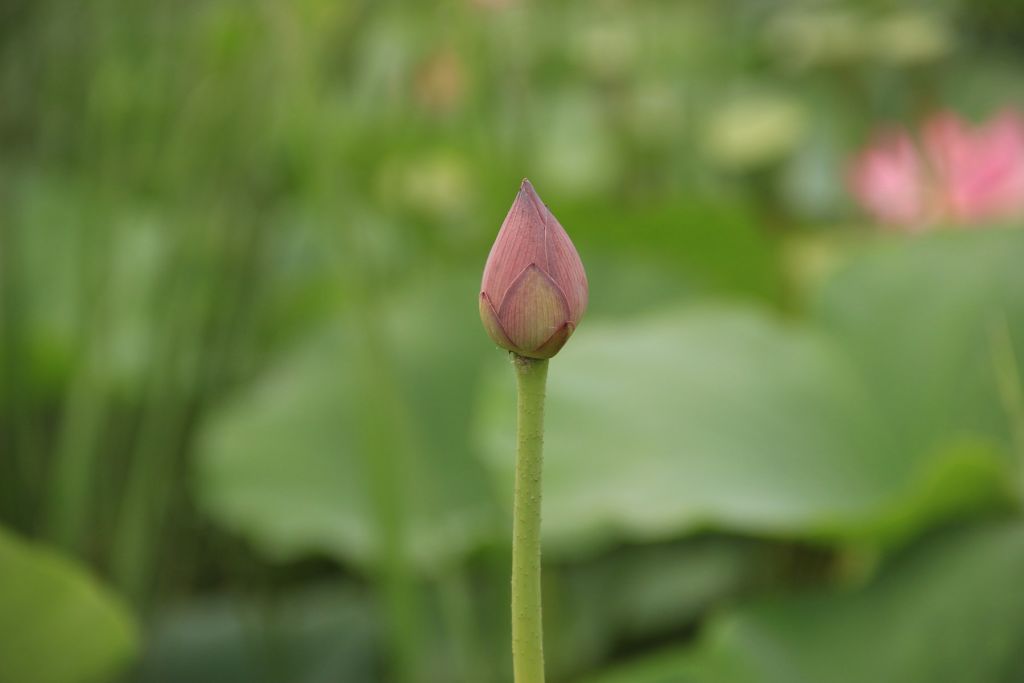 IMG_3269.jpg