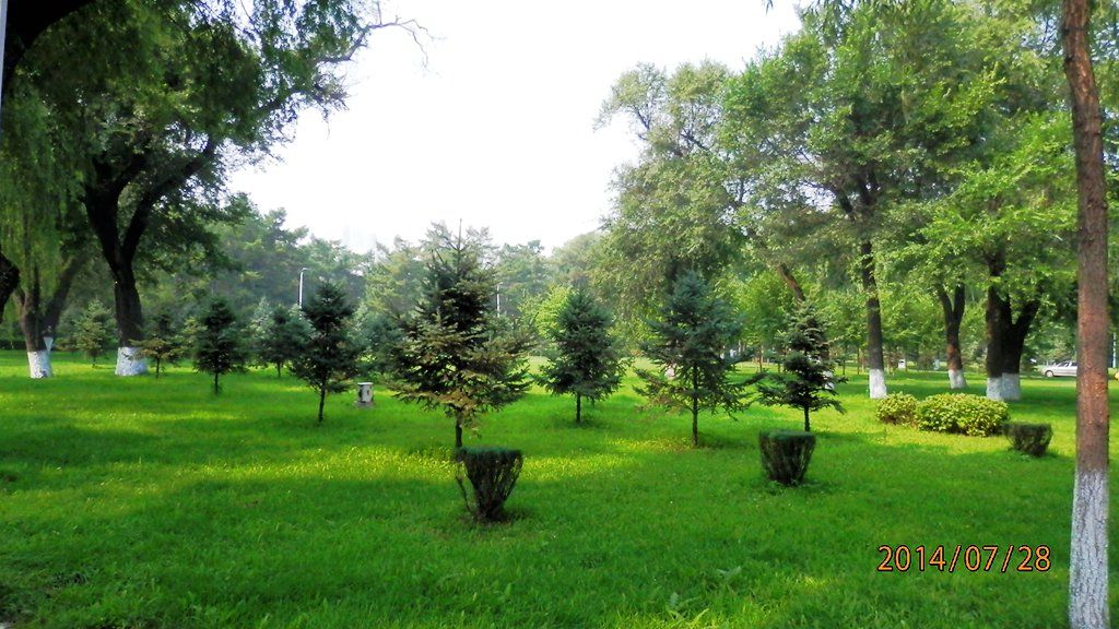 P7280464.jpg
