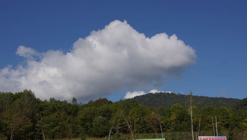 DSC05297.JPG