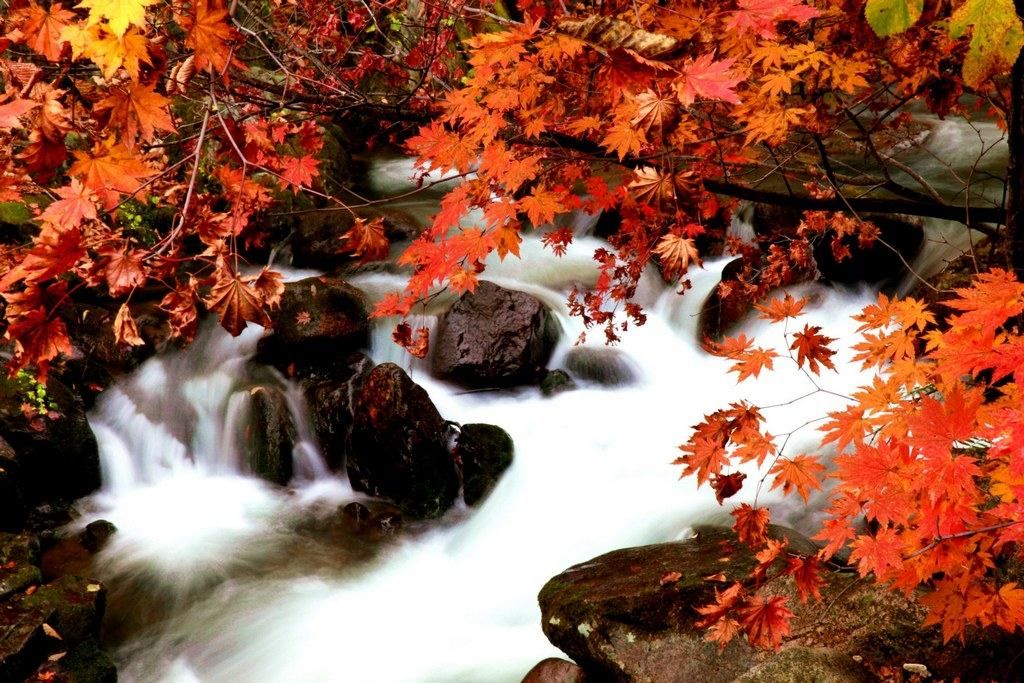 145305rykp8sfyy05ak4ec (1).jpeg