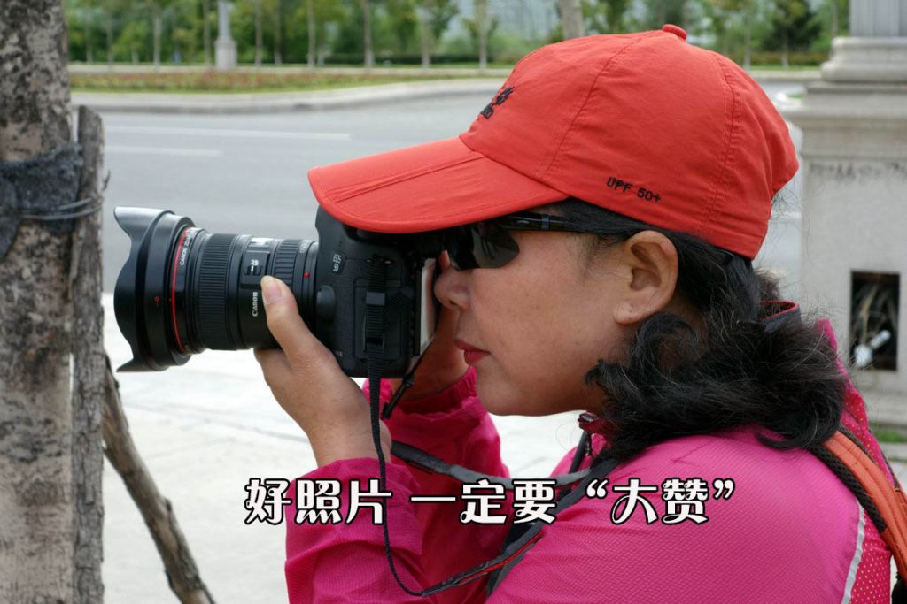 DS103.jpg