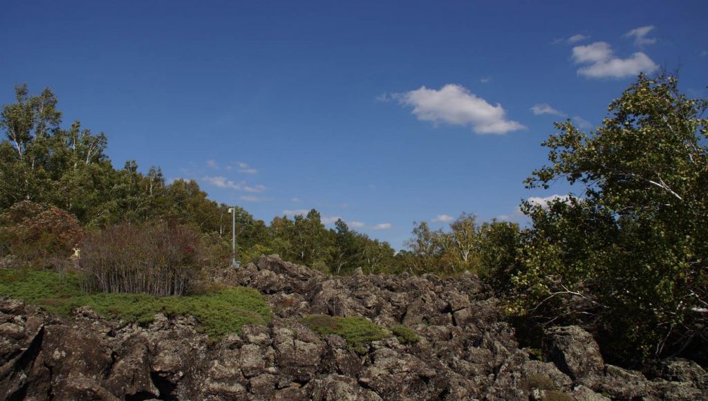 DSC06548.JPG