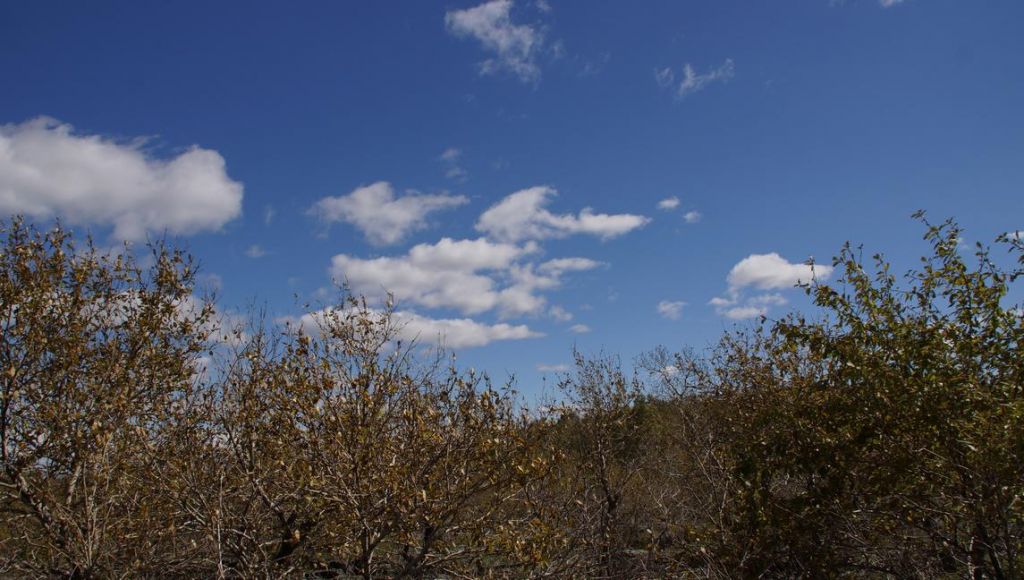 DSC07894.JPG