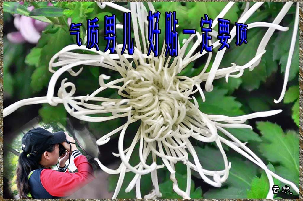9181.jpg