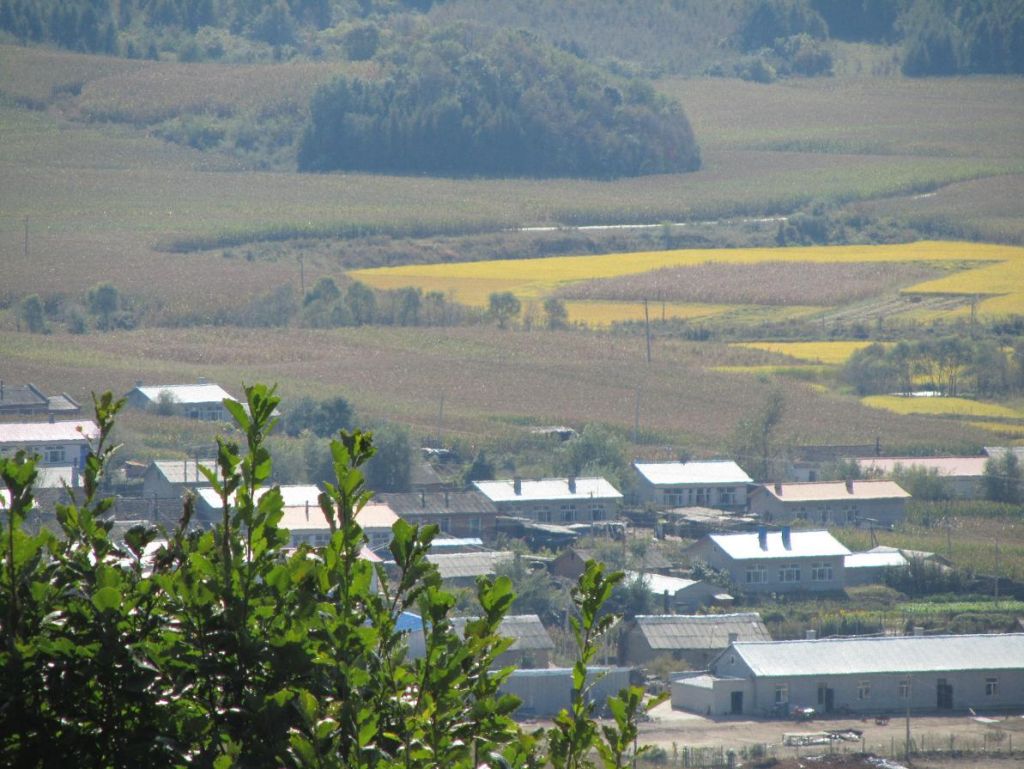 ���� 920 117.jpg