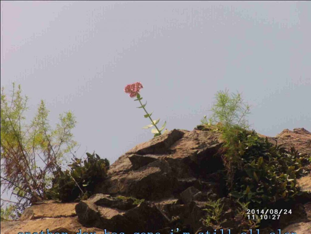 QQͼƬ20140825173128.jpg