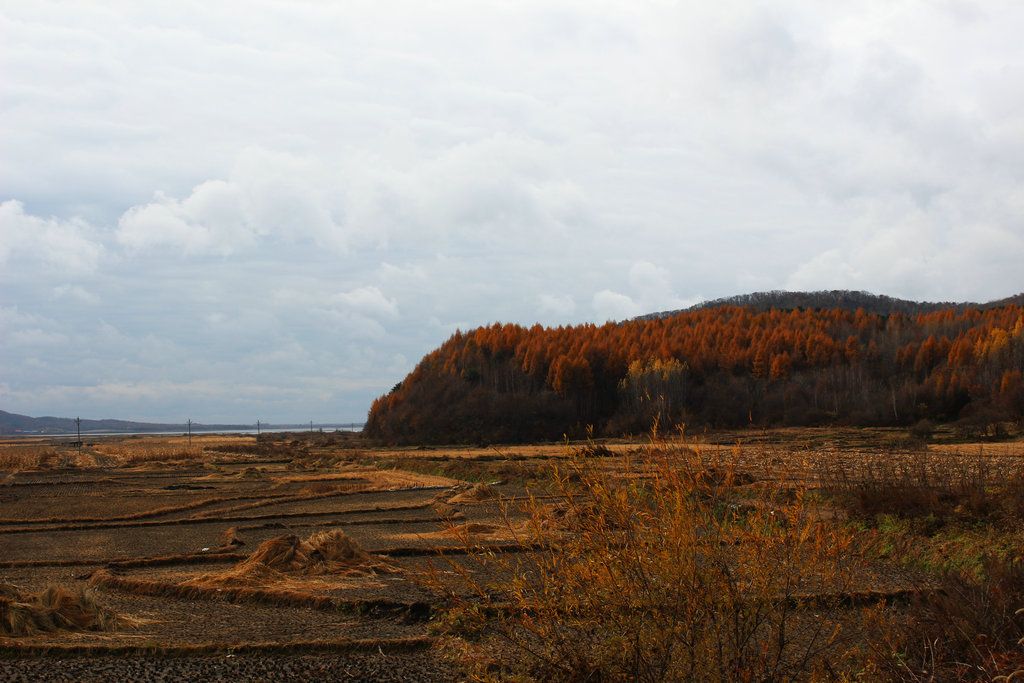 2014.10.12��Ȫ��ˮ��ͽ�� 001.JPG