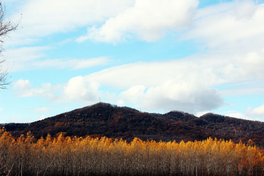 2014.10.12��Ȫ��ˮ��ͽ�� 037.JPG