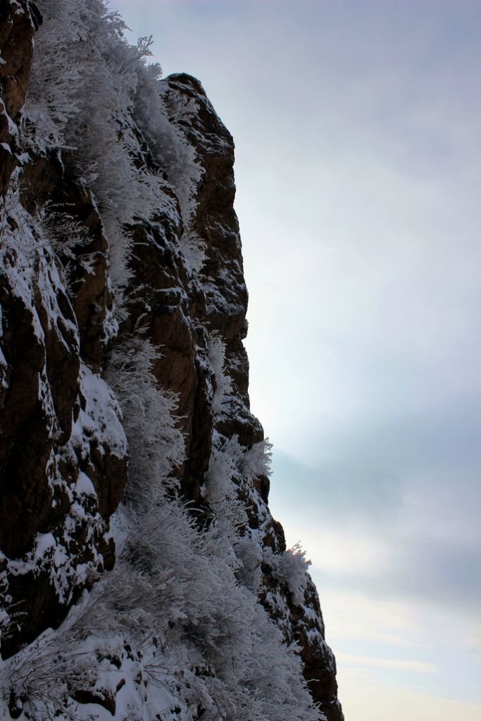 12.06��־���ɽ.ʯ��ɽ��԰ 092.JPG