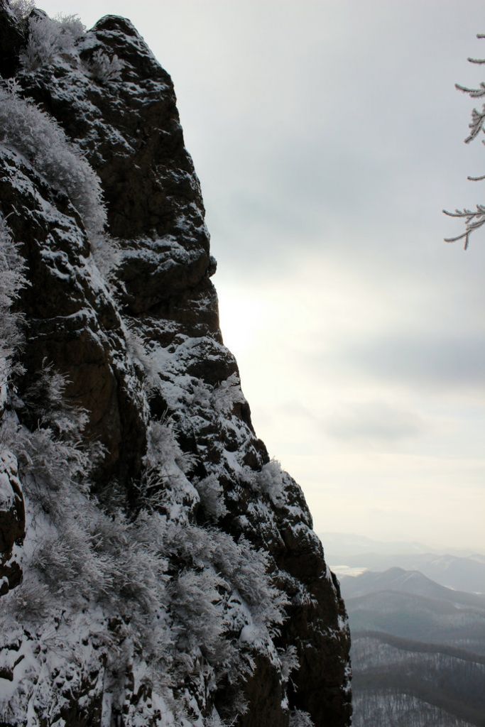 12.06��־���ɽ.ʯ��ɽ��԰ 102.JPG