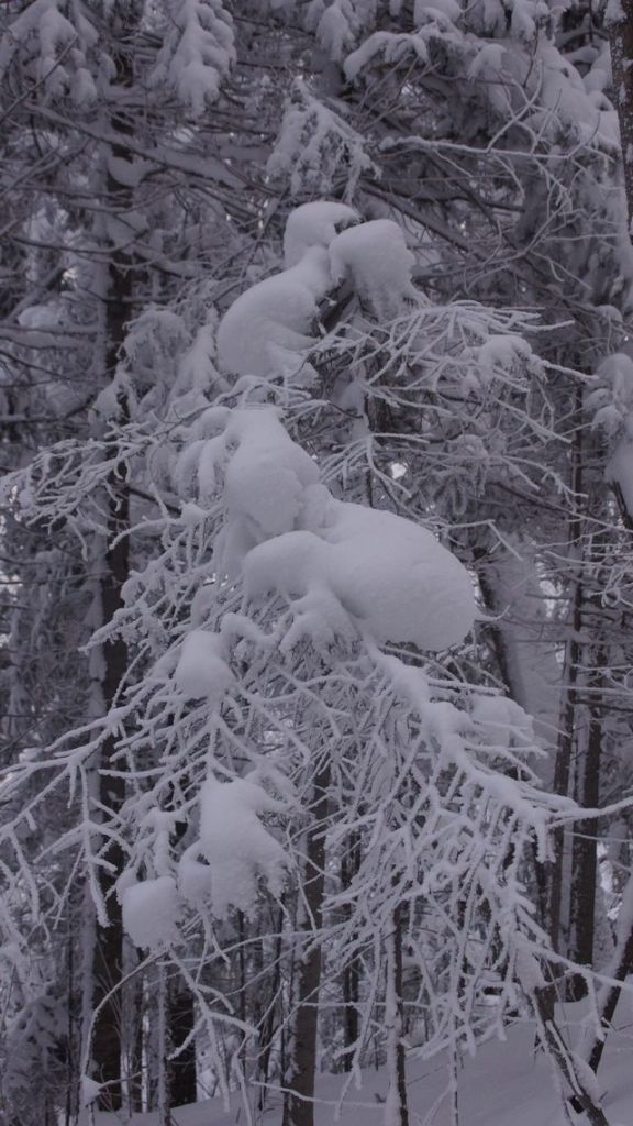 DSC06133.JPG