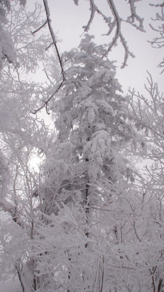 DSC06473.JPG