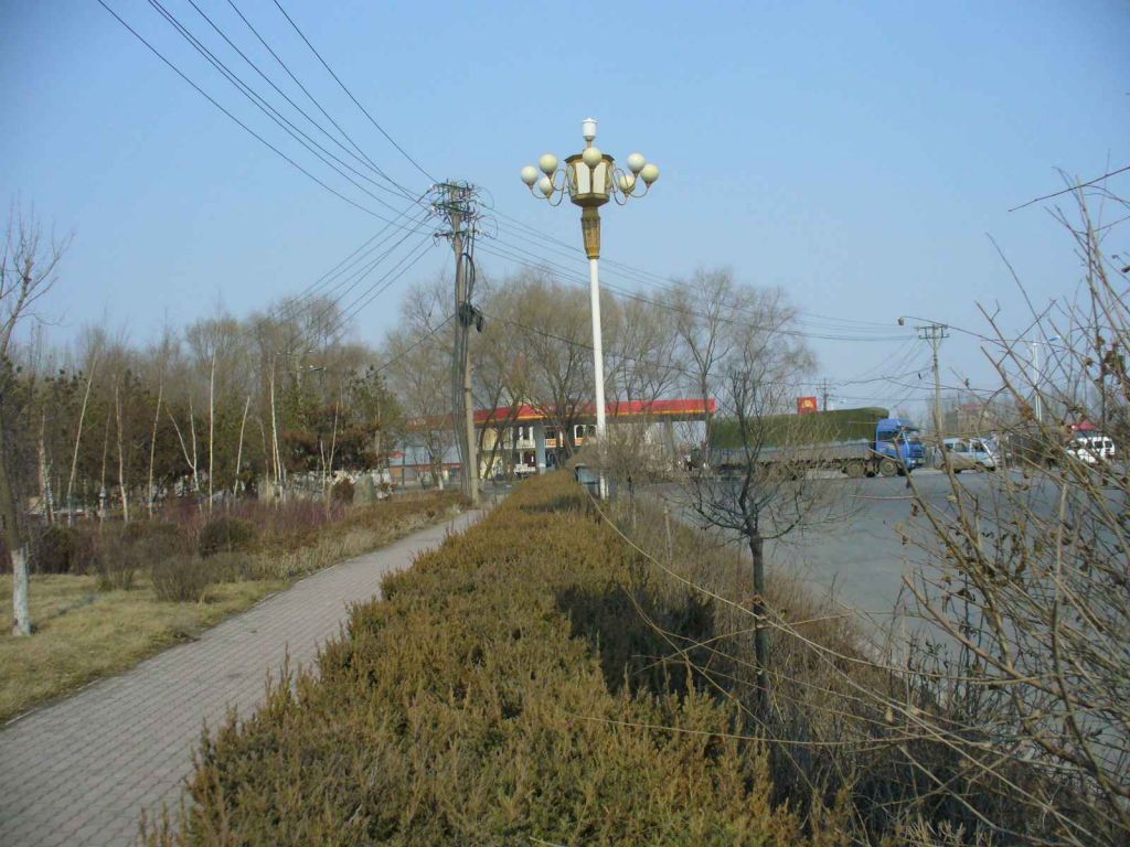 P1160596.JPG