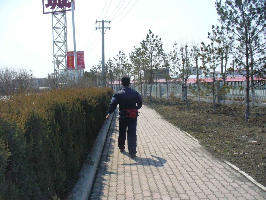 P1160574.JPG