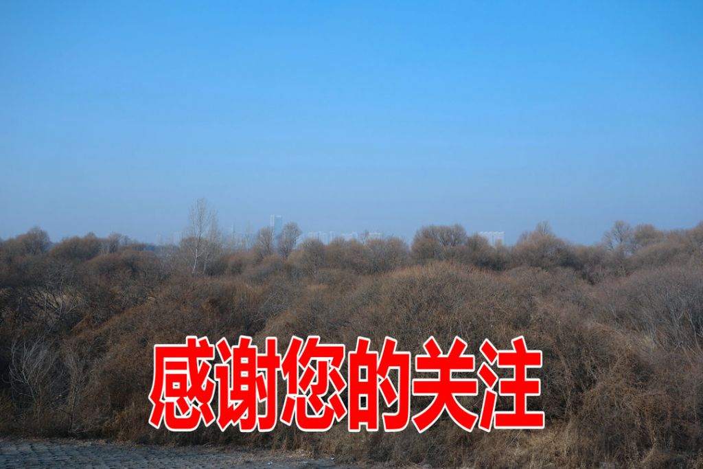DSC05950_����.JPG