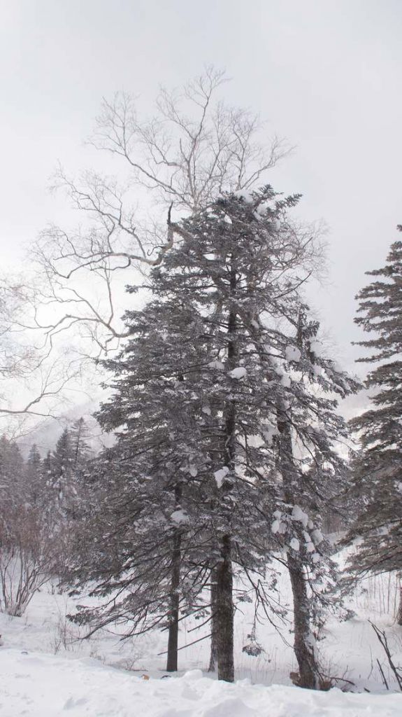 DSC02333.JPG
