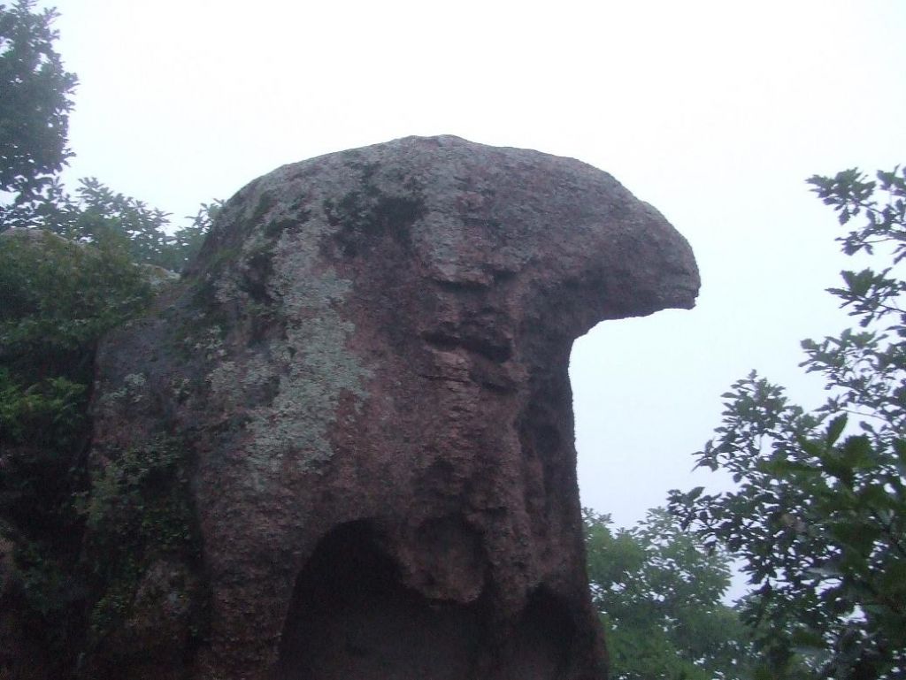 DSCF7610.JPG