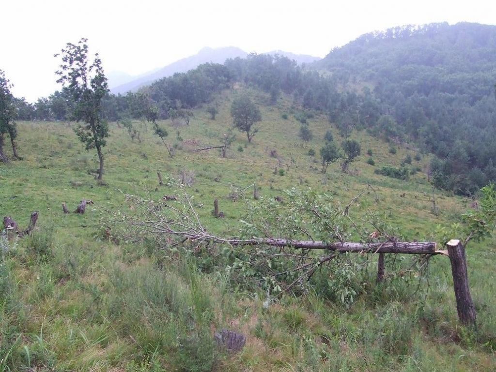 DSCF7476.JPG
