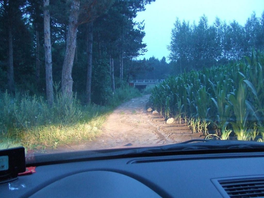 DSCF7446.JPG
