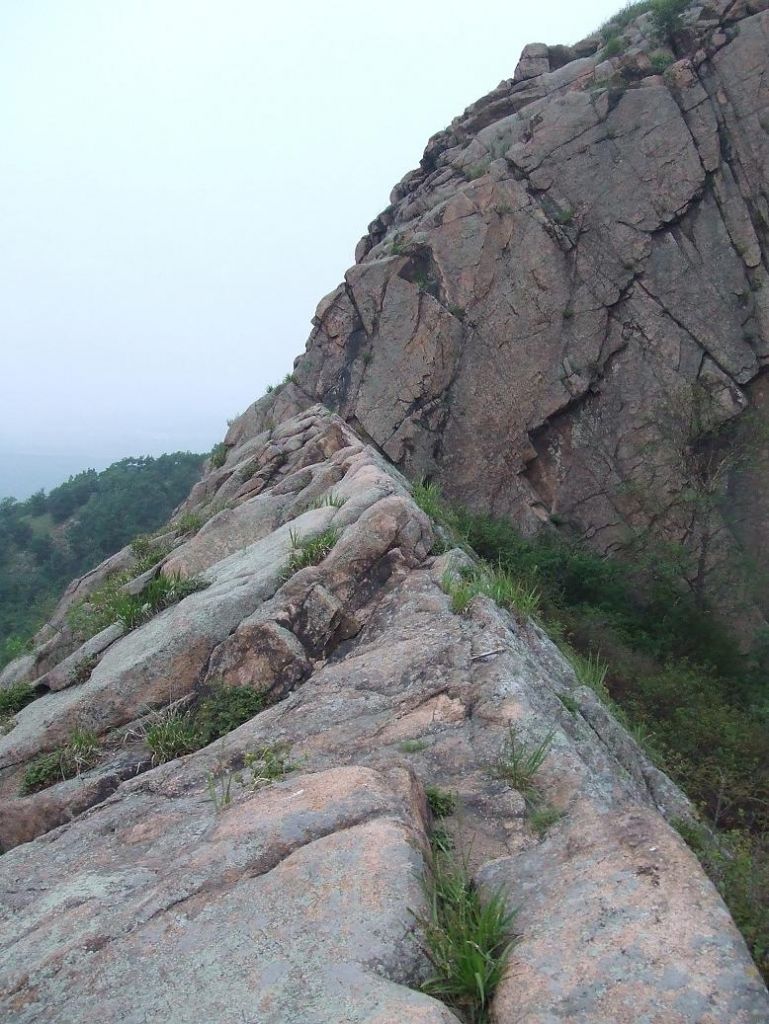 DSCF7488.JPG