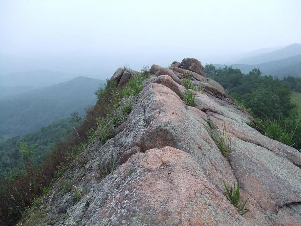 DSCF7495.JPG