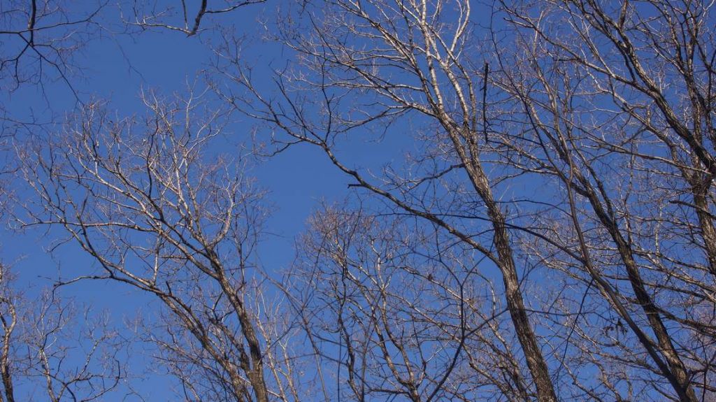 DSC05174.JPG