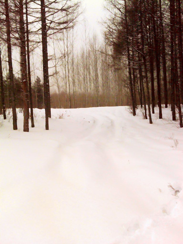 DSC04811.jpg