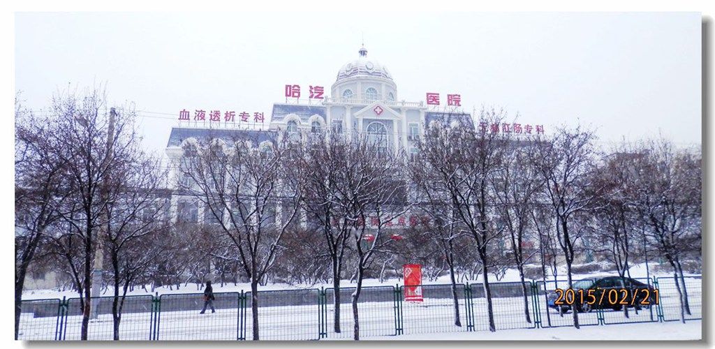 P2211688.jpg