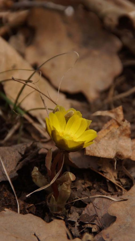 DSC01153.JPG