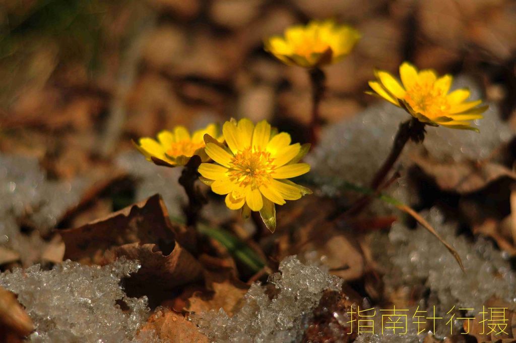 DSC_0165_����.jpg