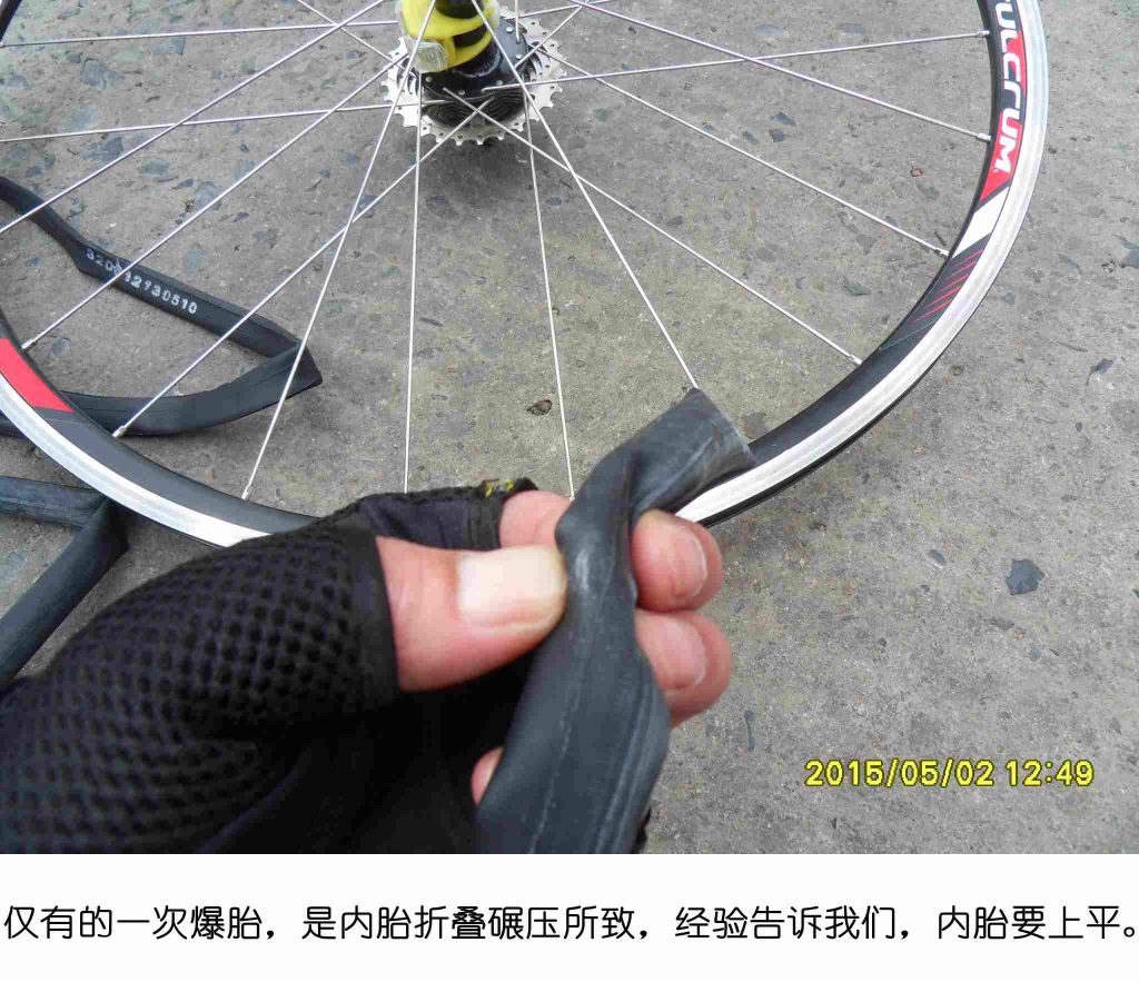 SDC15985_����.jpg