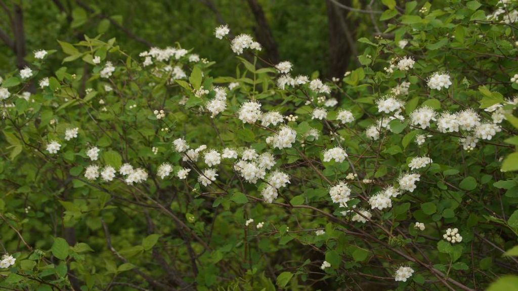 DSC09707.JPG