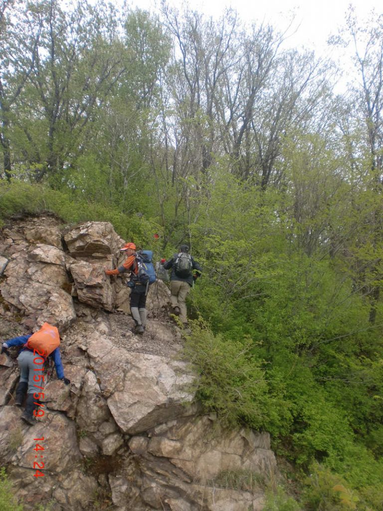 CIMG0869.JPG