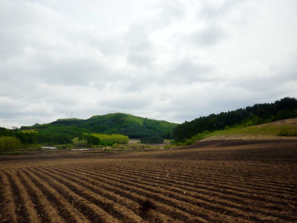 P1060419.jpg