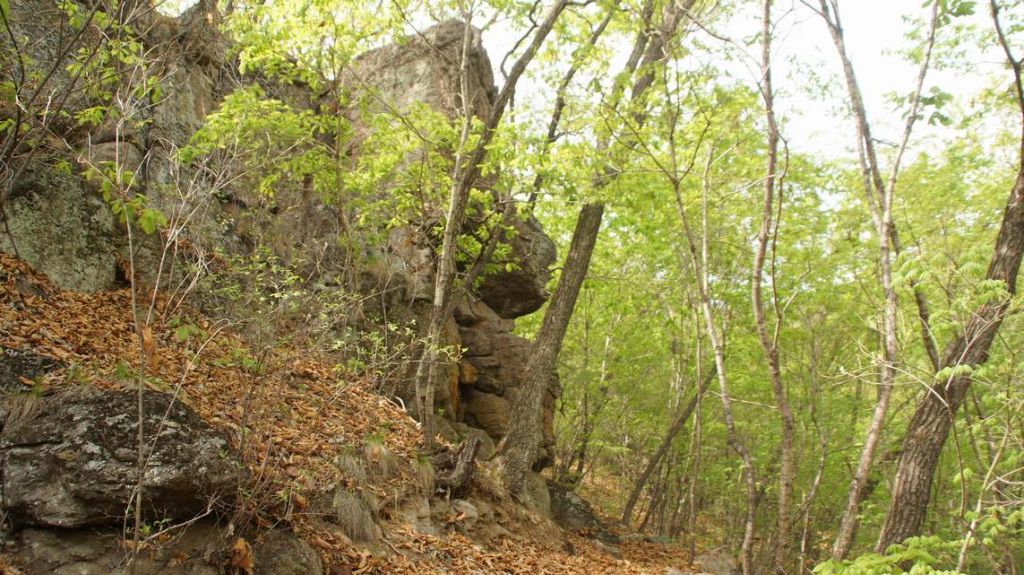 DSC08976.JPG