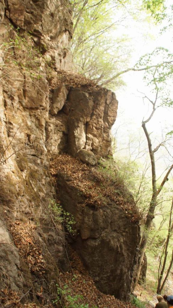 DSC09026.JPG