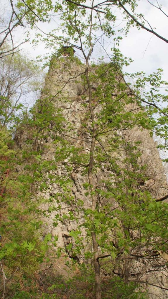 DSC09106.JPG