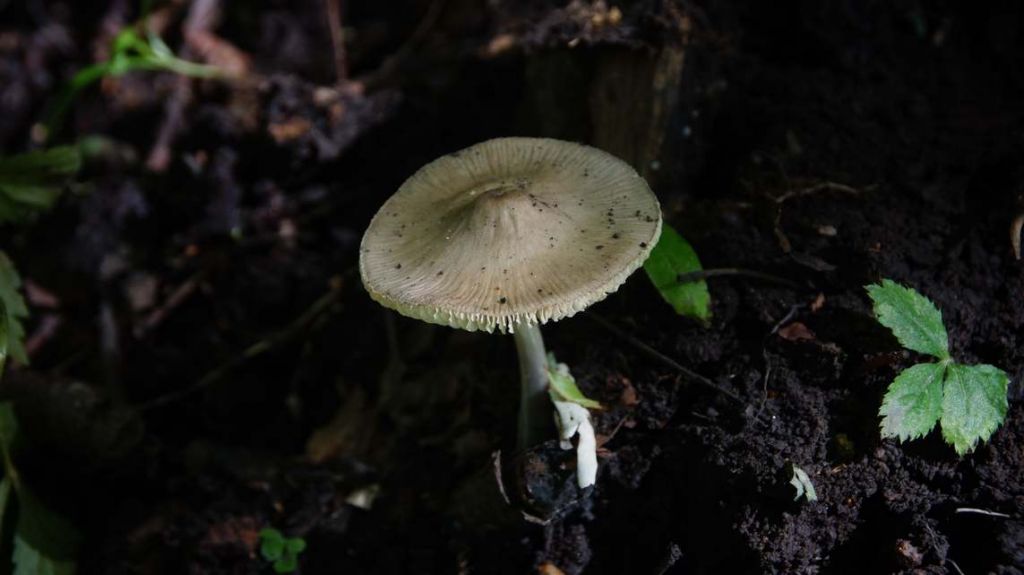 DSC05063.JPG
