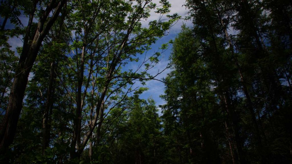 DSC04650.JPG