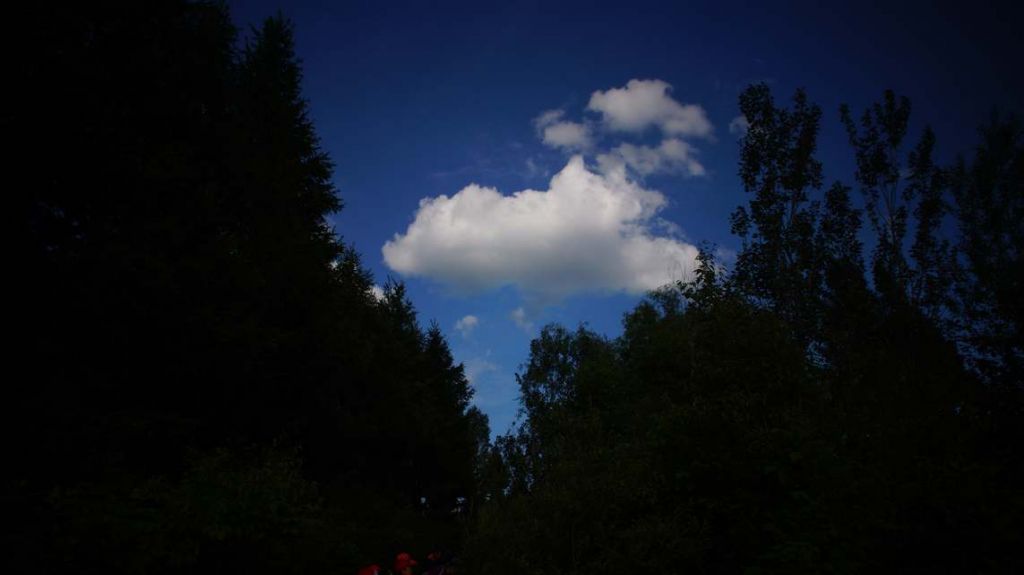 DSC05097.JPG