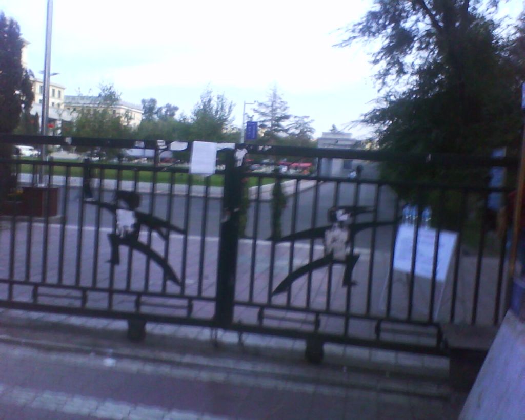 DSC00070.jpg