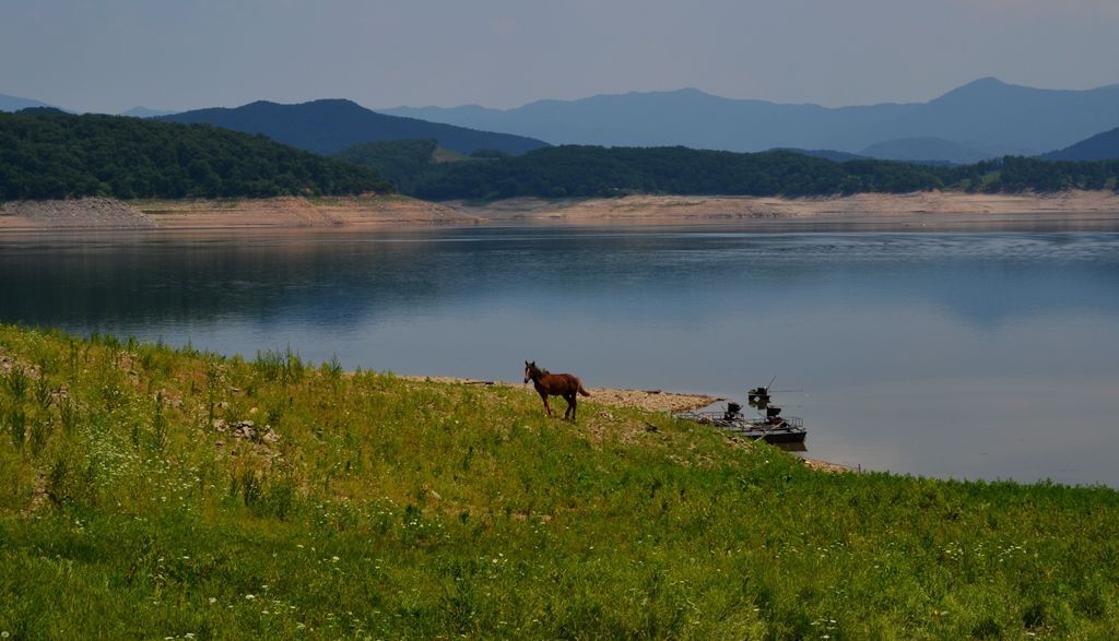 DSC_7741_副本.JPG