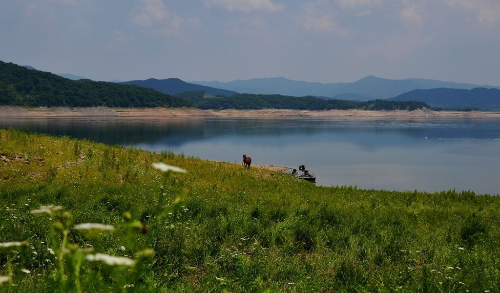 DSC_7747_副本.JPG